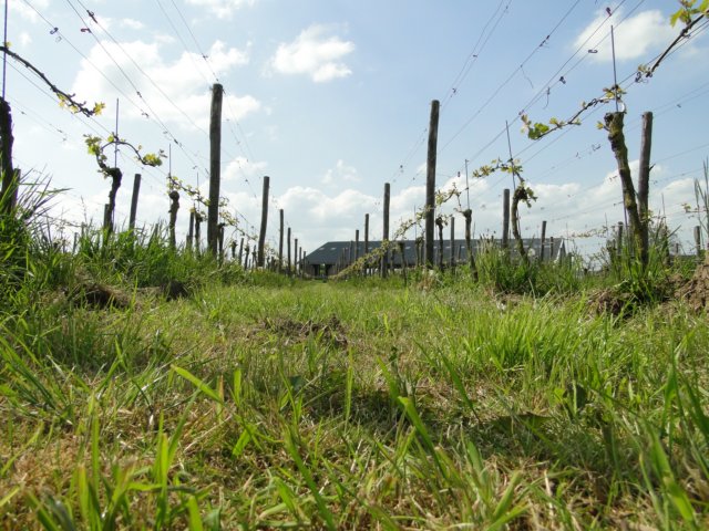 HWK 2012 308.jpg